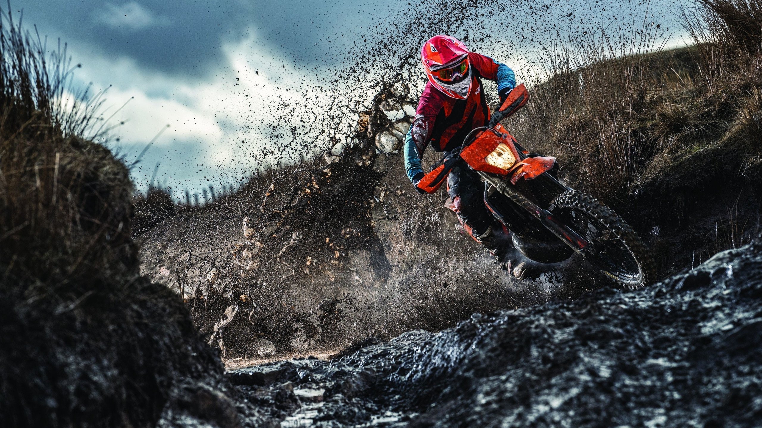 中小学教师提升路径，如何提升中小学教师素养水平